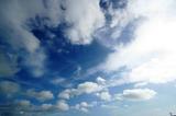 見上げると雲.JPGのサムネール画像
